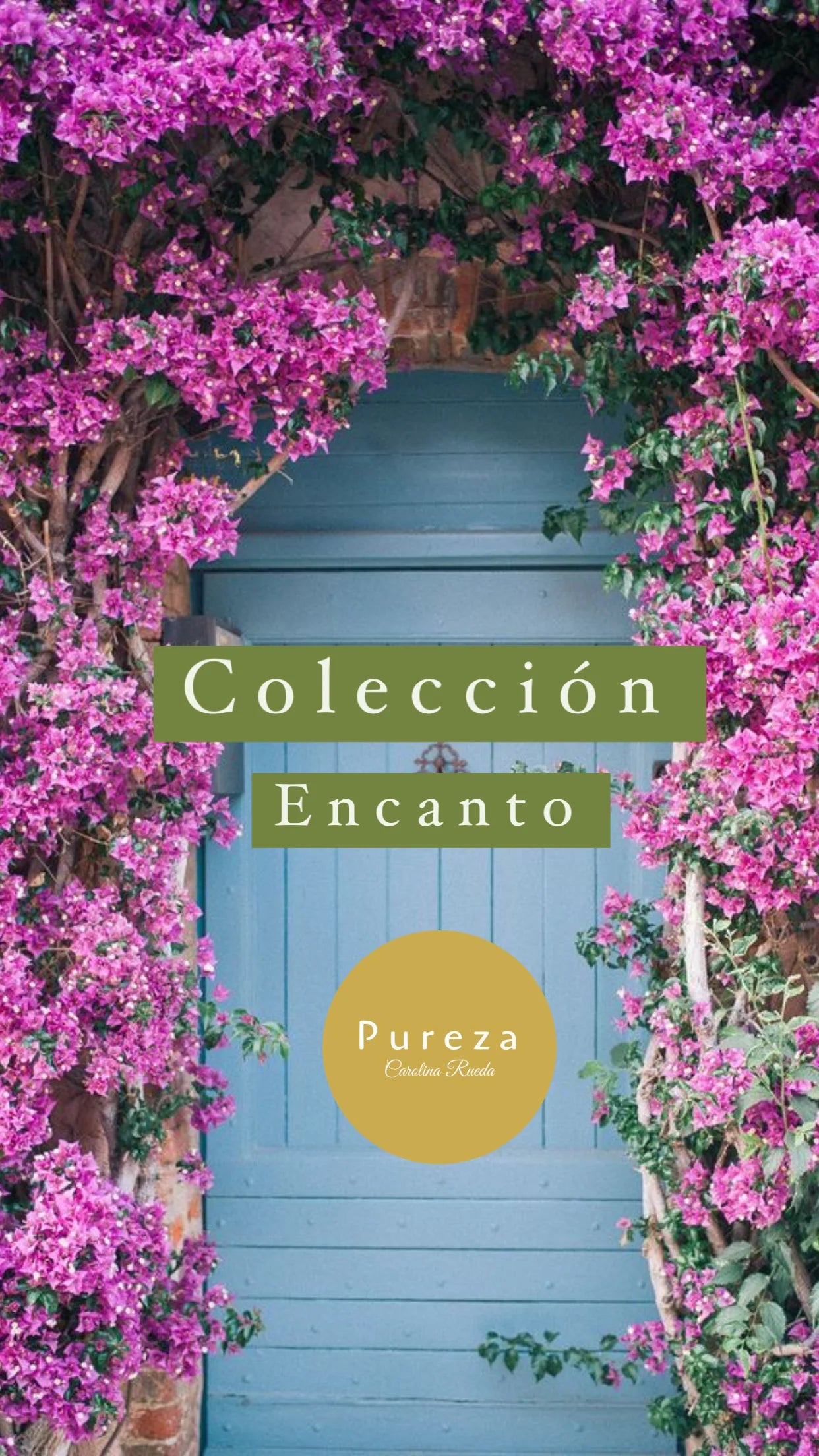 Encanto Collection