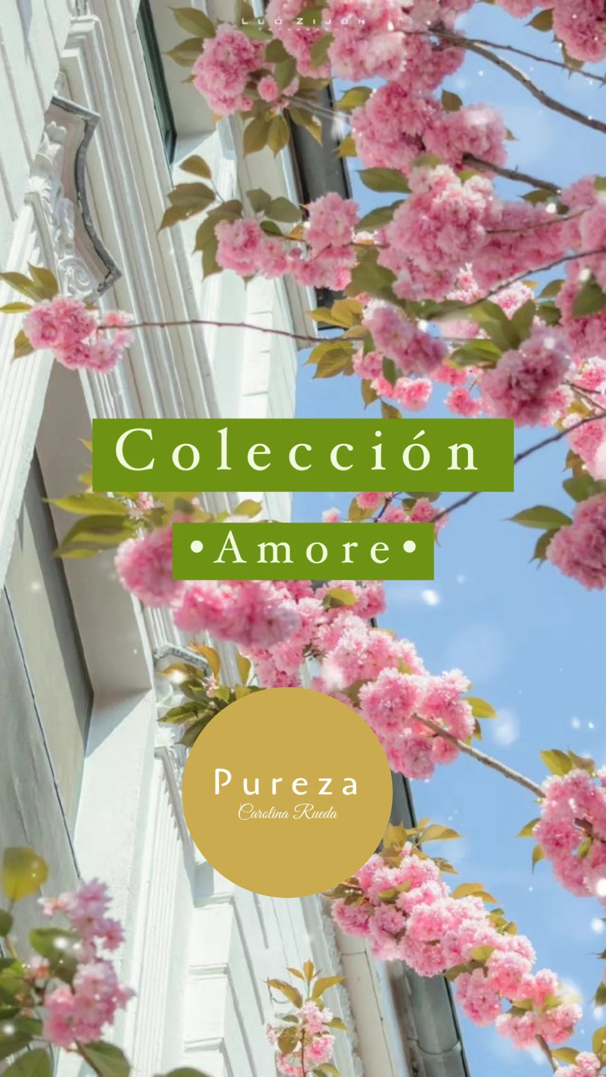 Amore Collection