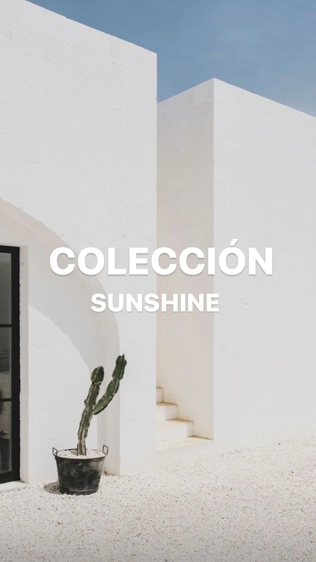 Sunshine Collection