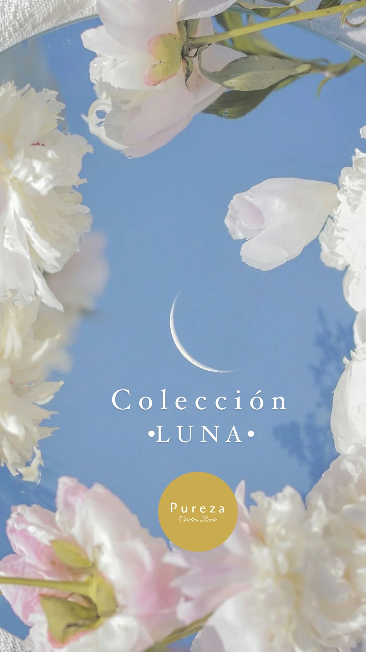 Luna Collection