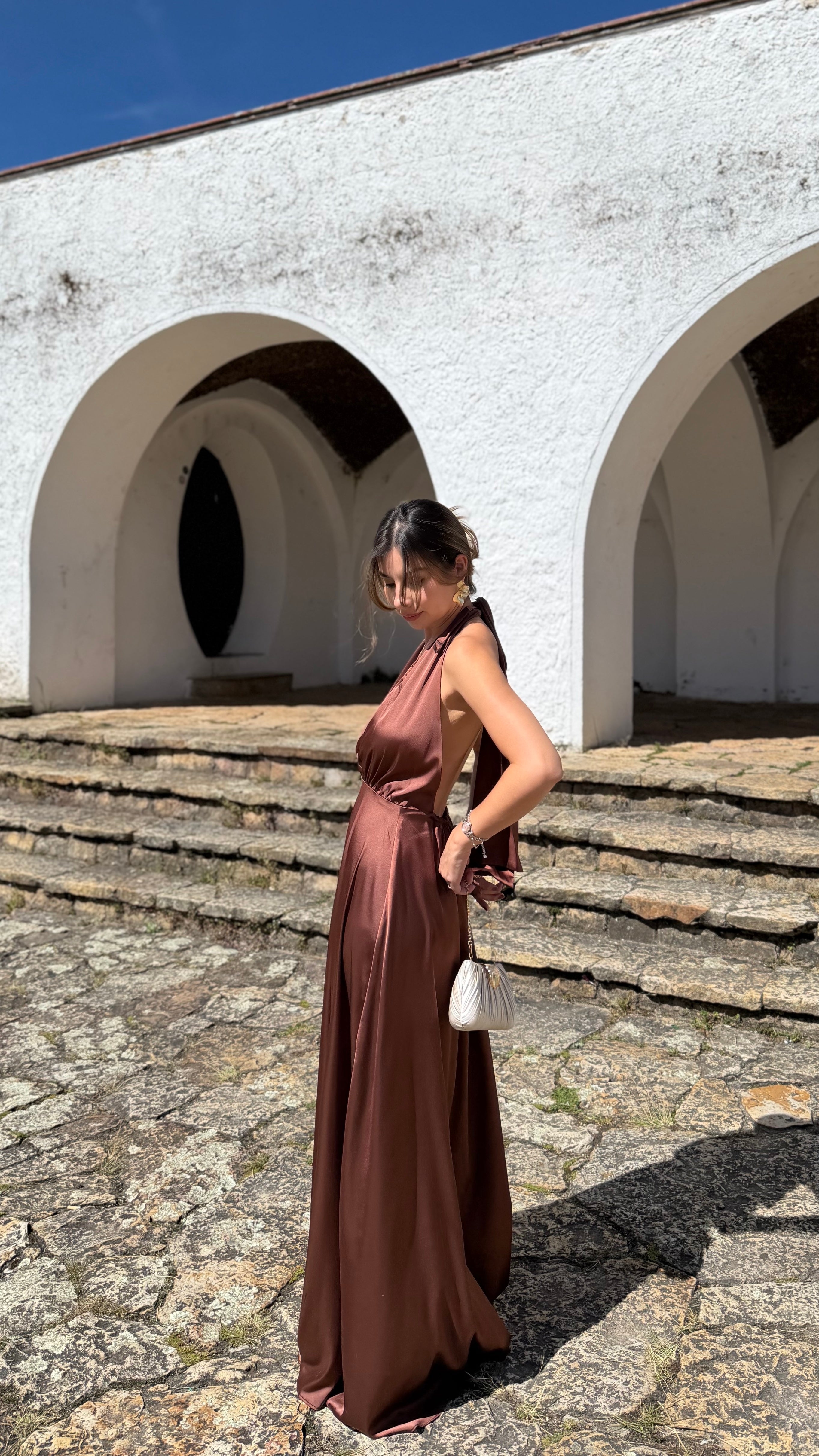 Odisea Brown Dress